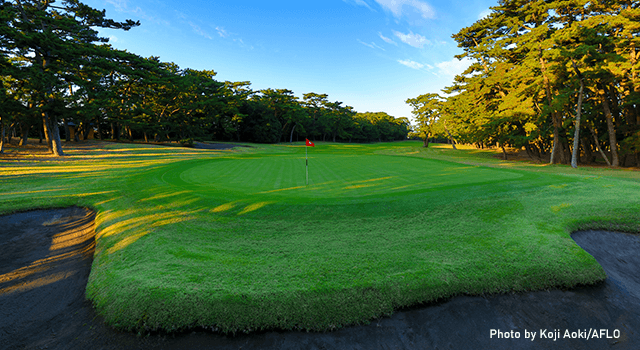 Hole No.12