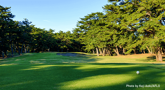 Hole No.14